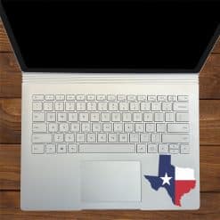 Texas Sticker