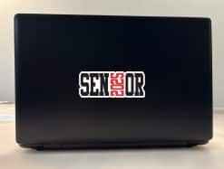 Senior 2025 Sticker
