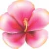 Hibiscus Sticker