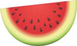 Watermelon Sticker