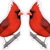 Mirrored Cardinal on Branch Stickers