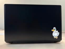 Silly Goose Sticker