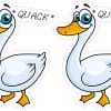 Duck Stickers