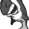Shark Sticker