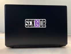 Senior 2025 Stickers