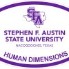 Officially Licensed SFA Stephen F. Austin Sticker