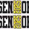Senior 2025 Stickers
