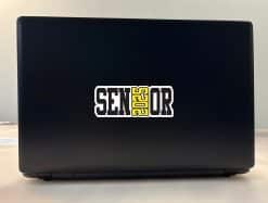 Senior 2025 Stickers