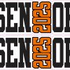 Senior 2025 Stickers