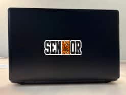 Senior 2025 Stickers
