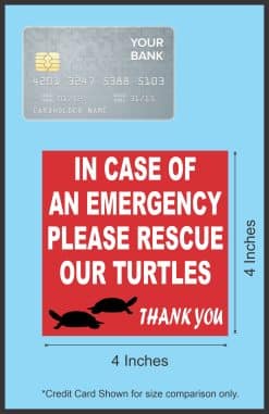 Rescue Our Turtles Magnet