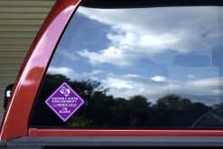Stephen F. Austin SFA Sticker