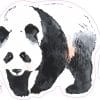 Panda Bear Stickers