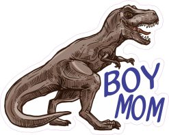 Boy Mom Sticker