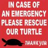 Turtle Sticker