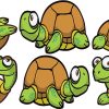 Turtle Stickers