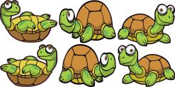 Turtle Stickers