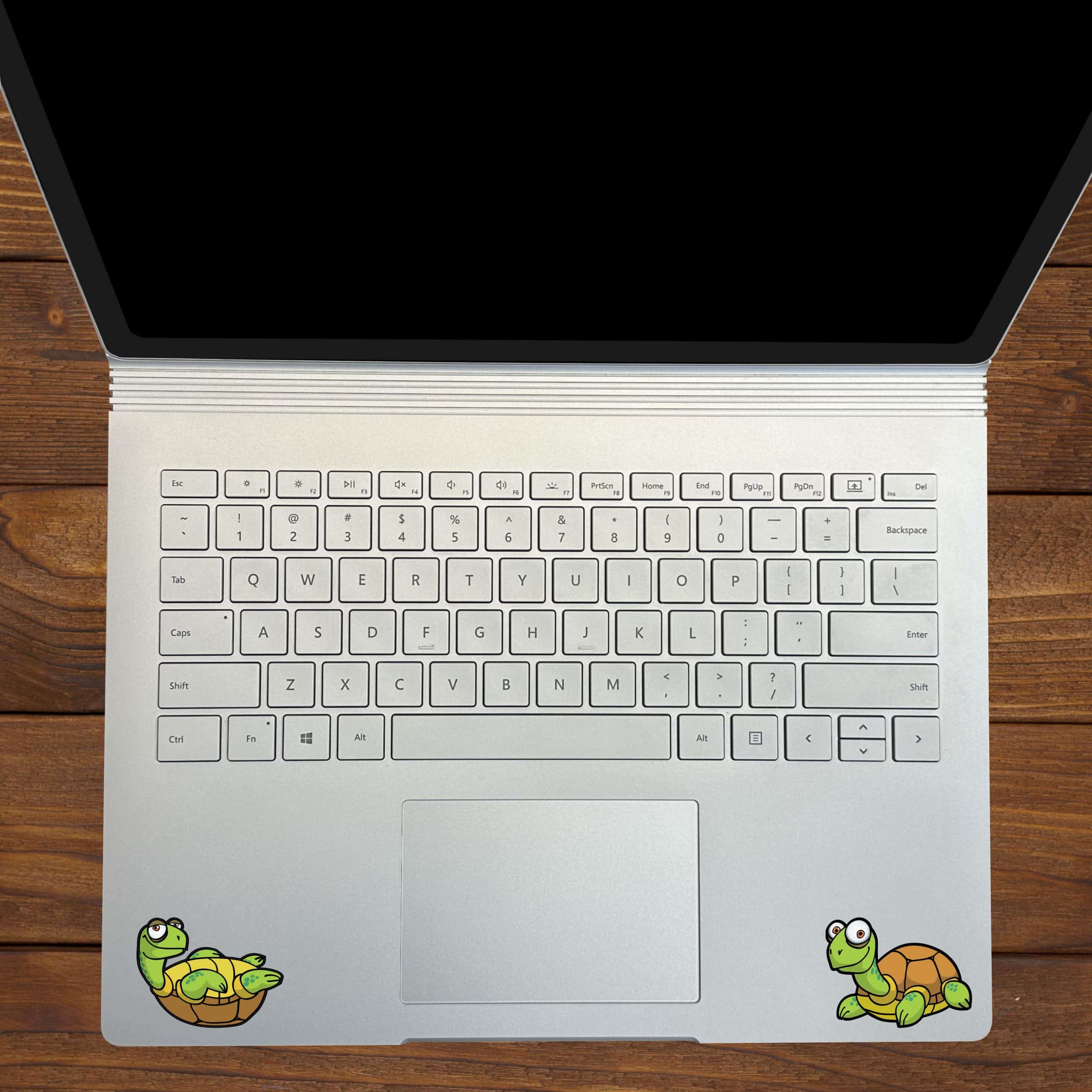 Turtle Stickers