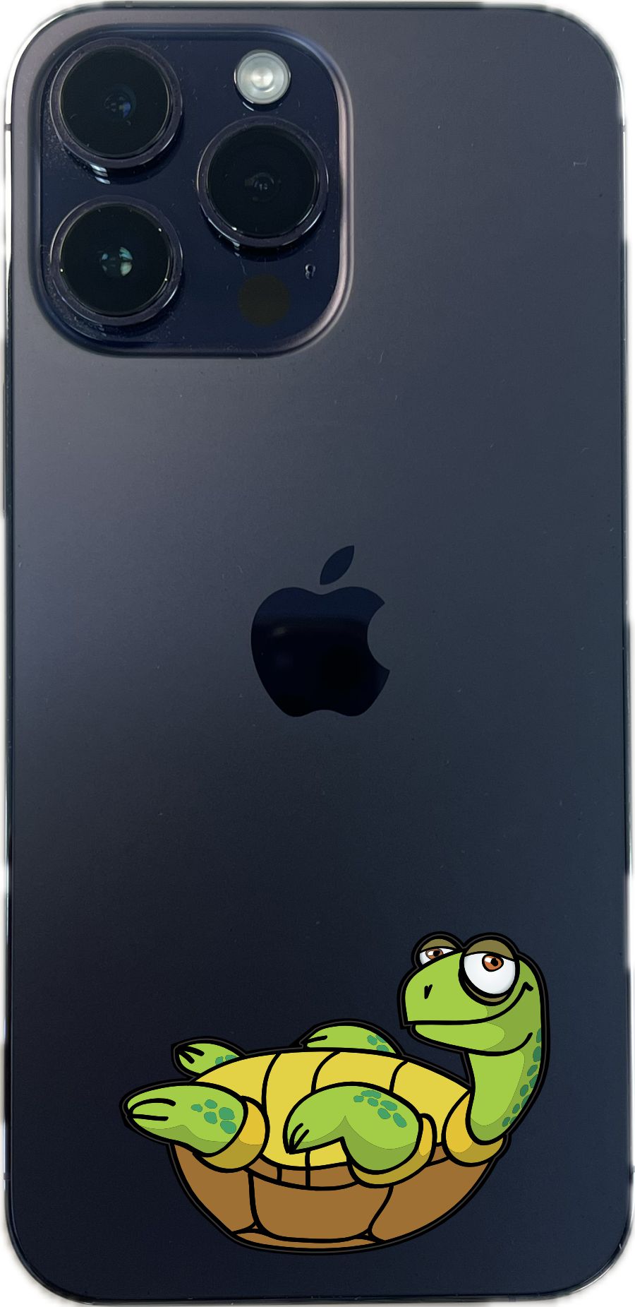 Turtle Stickers