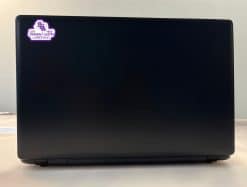 Stephen F. Austin SFA Stickers