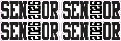 Senior Stickers