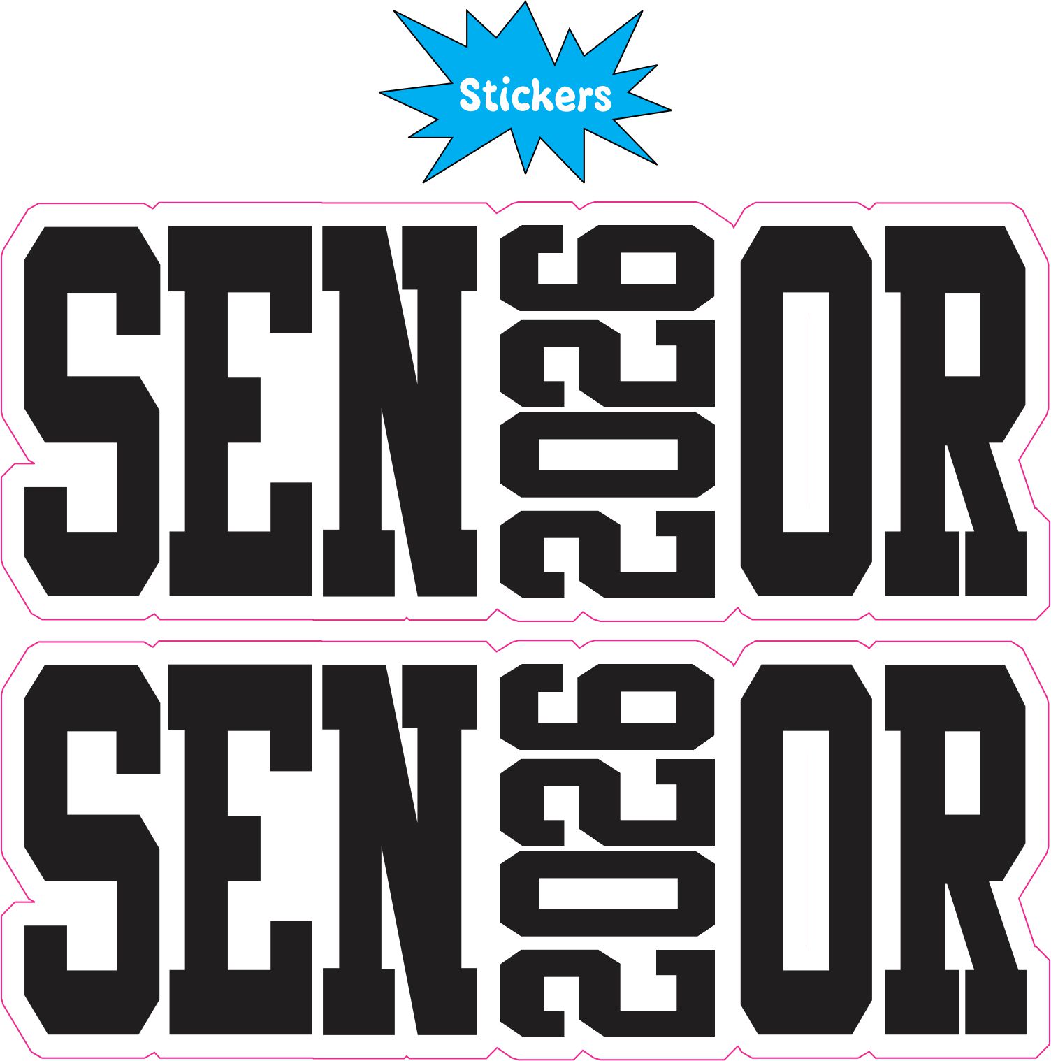 Senior Stickers