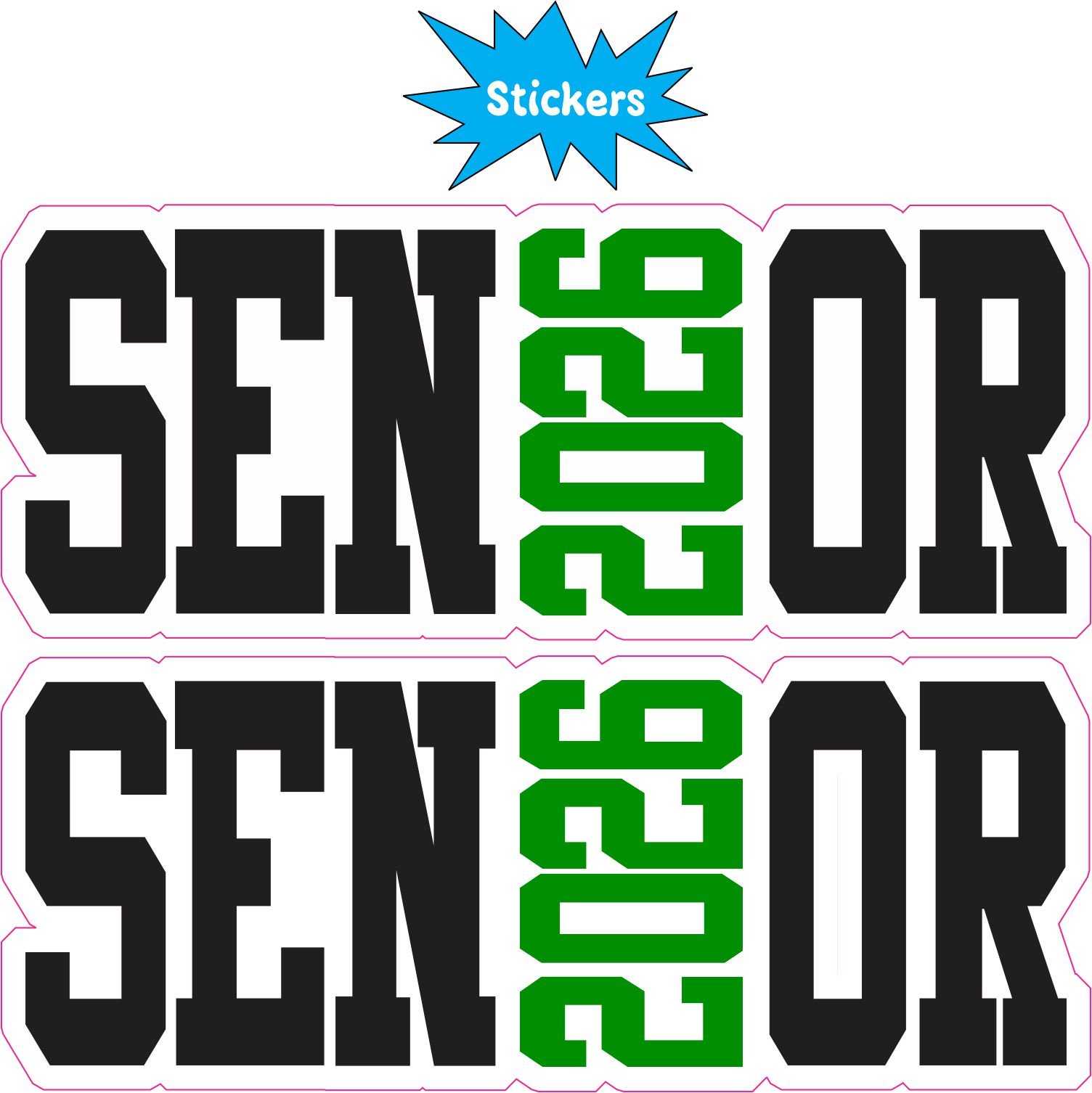 Senior Stickers