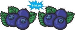Blueberry Stickers