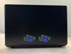 Blueberry Stickers