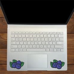 Blueberry Stickers