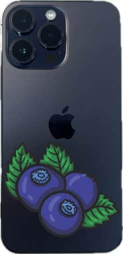Blueberry Stickers