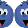 Blueberry Stickers
