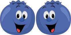 Blueberry Stickers