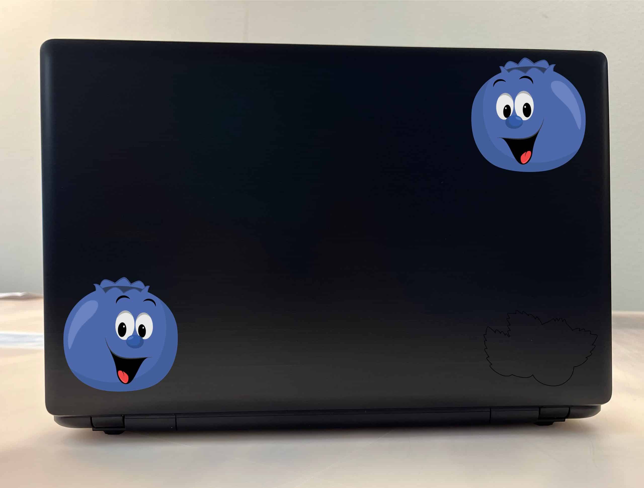 Blueberry Stickers