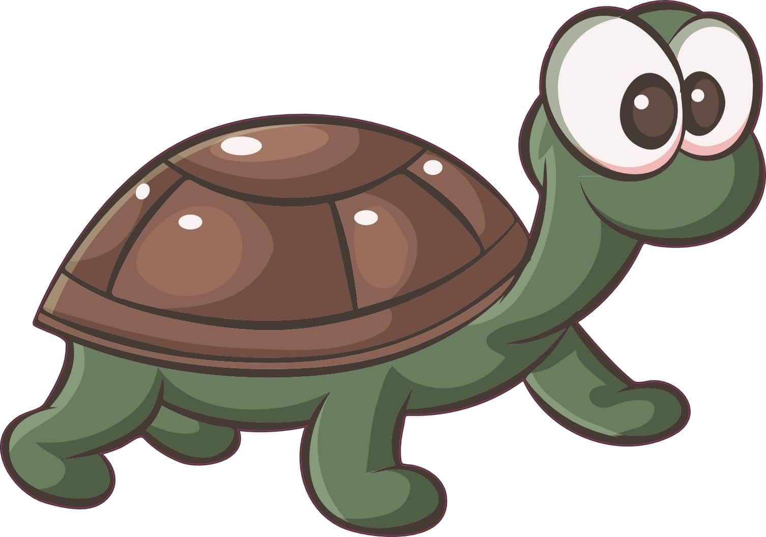 Turtle Sticker