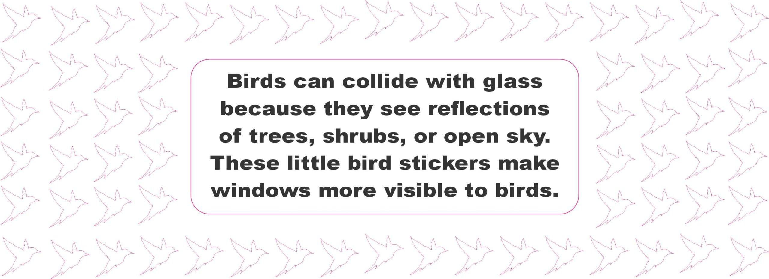 Bird Window Stickers