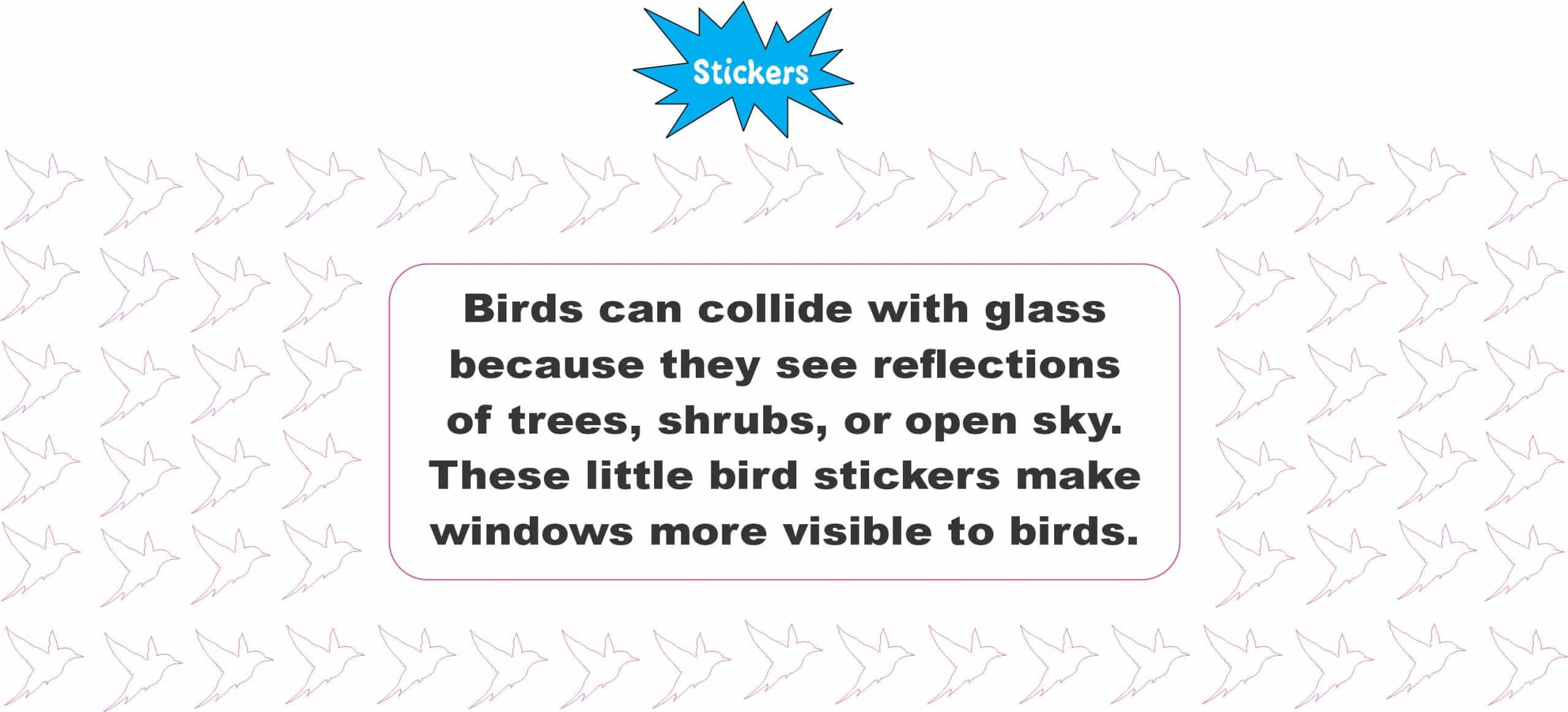 Bird Window Stickers