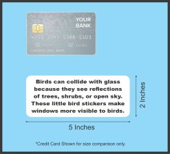 Bird Window Stickers