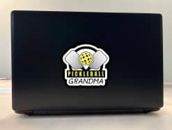 Pickleball Sticker