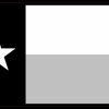 Texas Flag Magnet