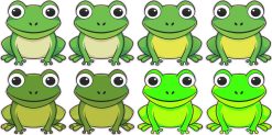 Frog Stickers