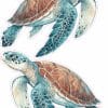 Turtle Stickers