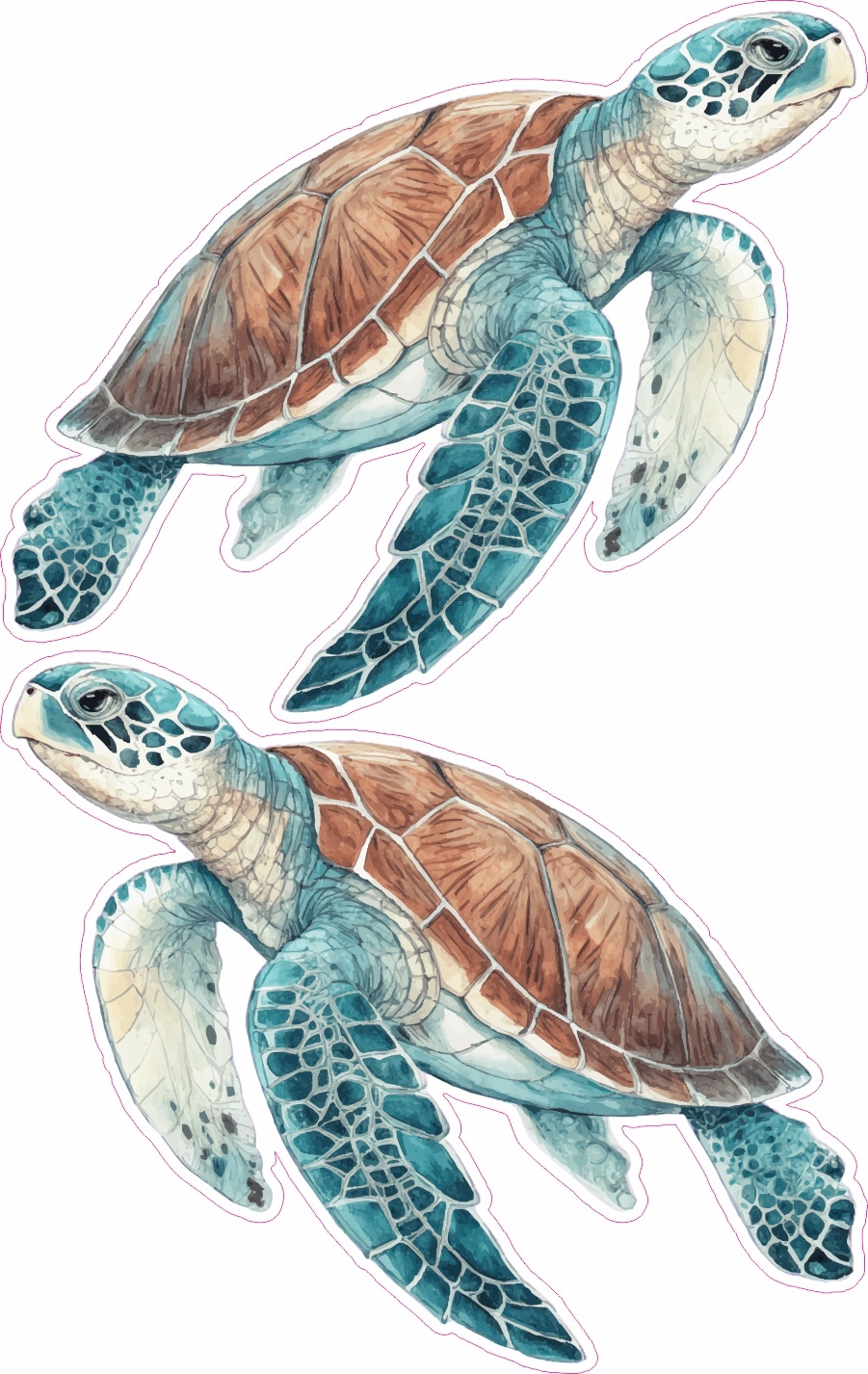 Turtle Stickers