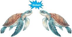 Turtle Stickers