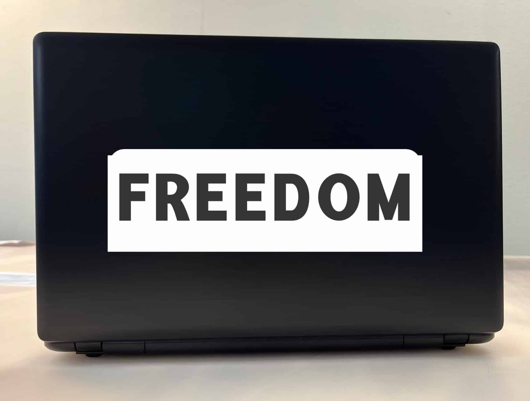 bold typography, patriotic text, clean minimal design - vinyl removable sticker