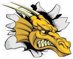 dragon head, sharp spikes, aggressive expression - vinyl removable sticker