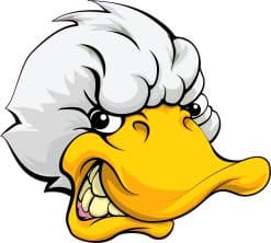 cartoon duck character, white chef hat, friendly smile - vinyl removable sticker