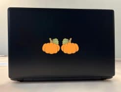 cartoon pumpkins, ribbed texture, curved stems - vinyl removable sticker