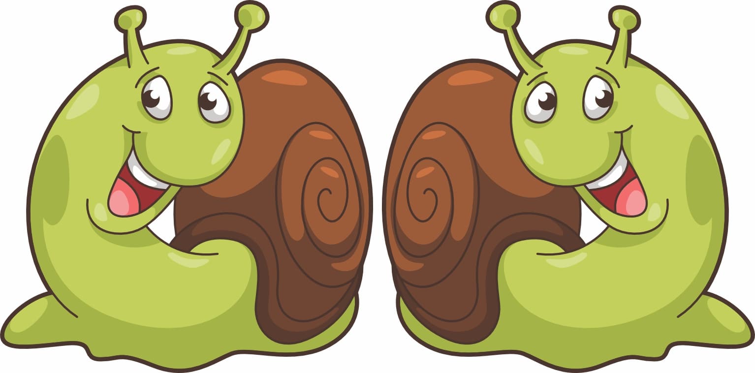 Snail Stickers