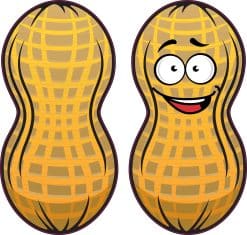 cartoon faces, textured shell pattern, googly eyes - vinyl removable sticker